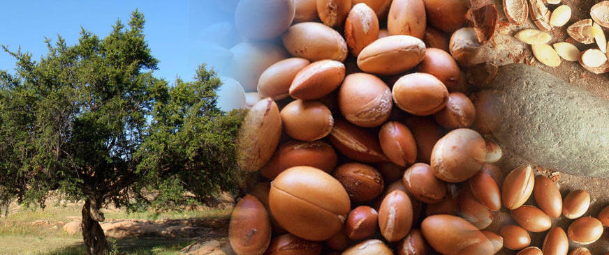 ARGAN OIL